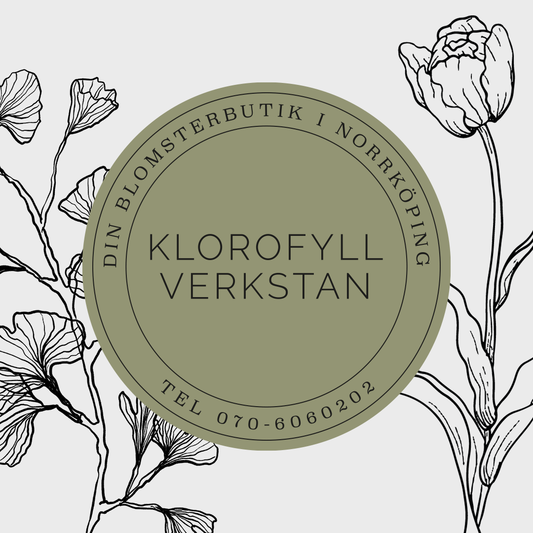 Klorofyllverkstan
